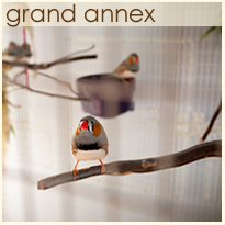 Grand Annex Photo Gallery